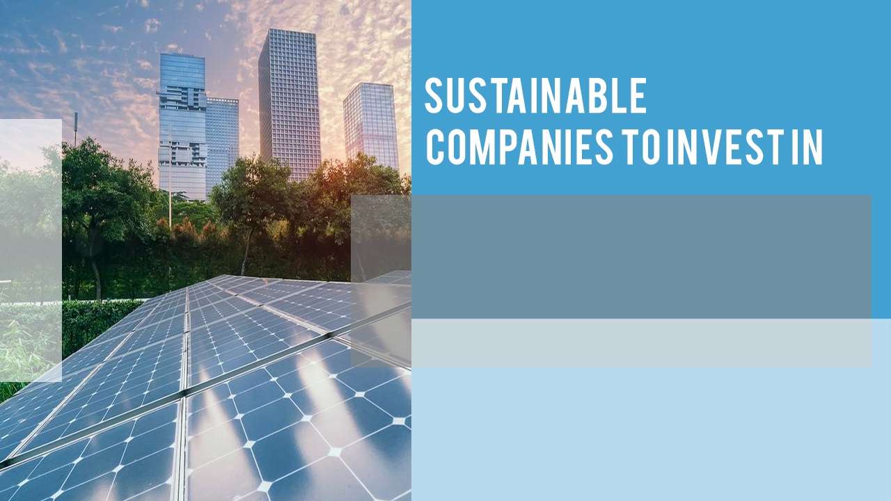 Sustainable Companies to Invest In: Future-Proof Your Portfolio Now!