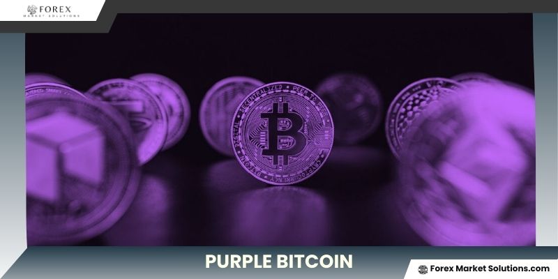 Purple Bitcoin: The next big opportunity in Cryptocurrency