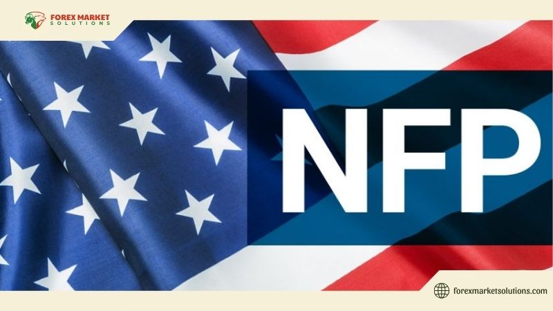 awhat-does-nfp-stand-for
