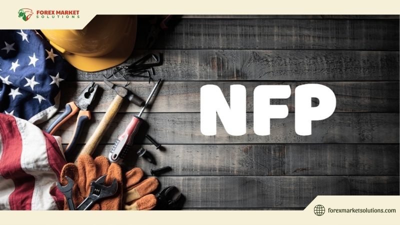 cwhat-does-nfp-stand-for